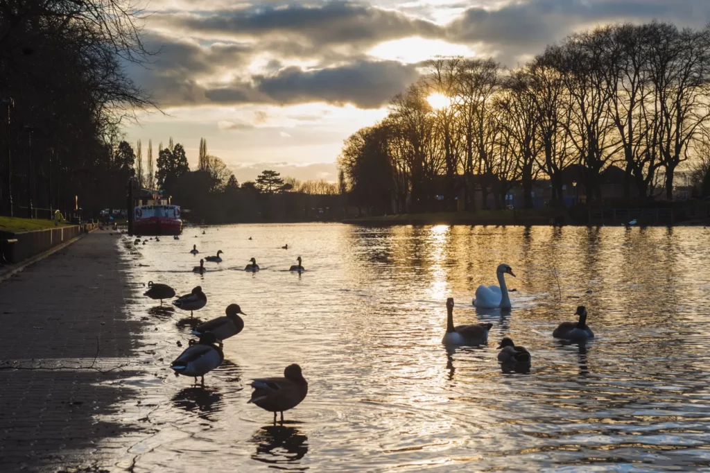 Home Care Worcestershire